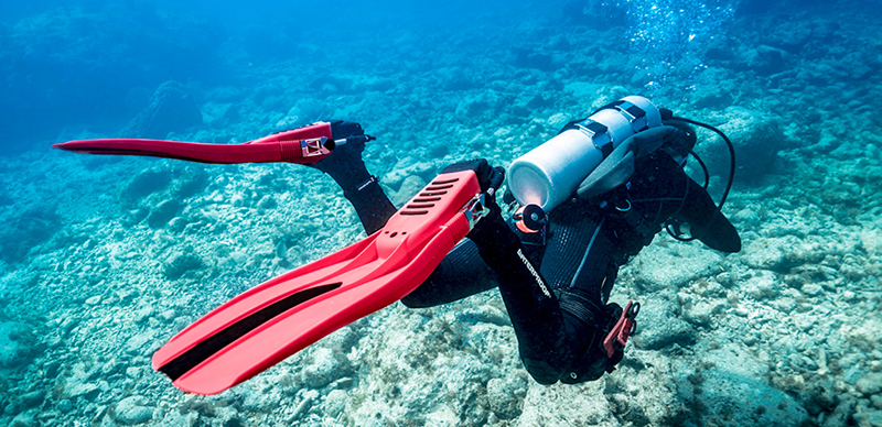 Diver Exploring Ocean